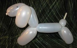 white balloons twisted into the shape of a dog